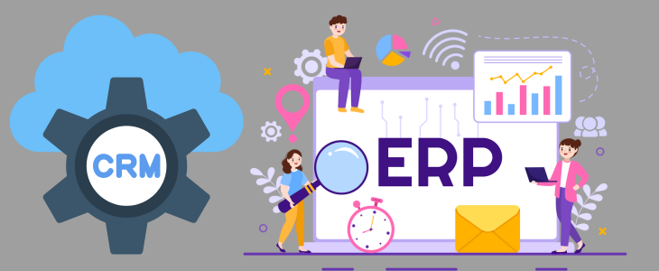 ERP and CRM Development in Vapi